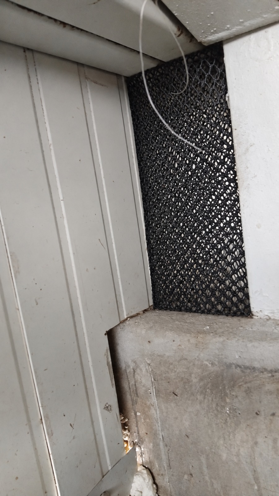 Área protegida com tela anti-pombo instalada